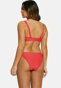 Bikini Briefs Bask in bliss