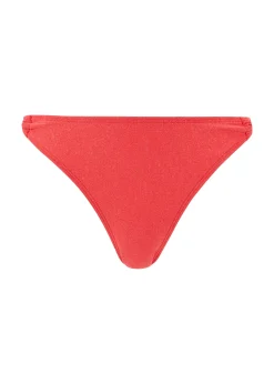 Bikini Briefs Bask in bliss