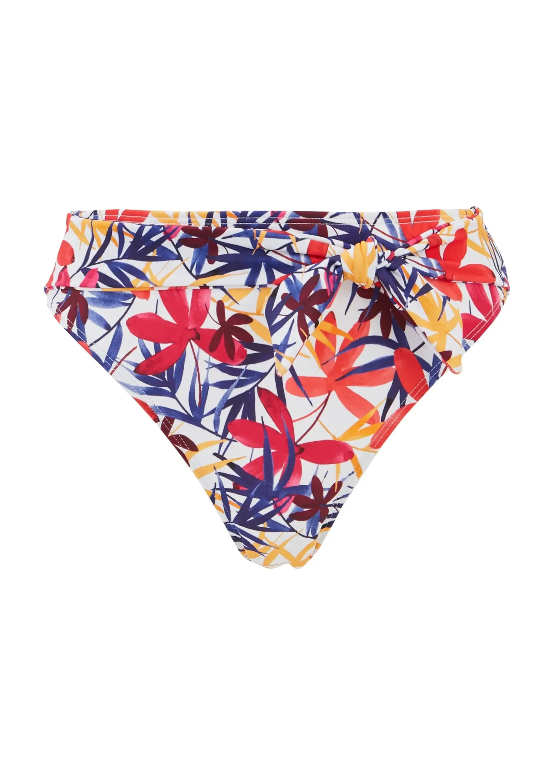 Bikini Briefs Island Dream