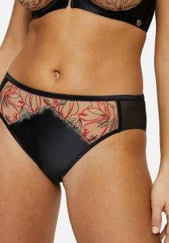 Briefs Alberta