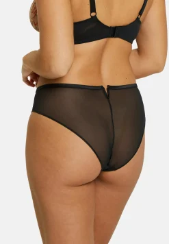Briefs Alberta