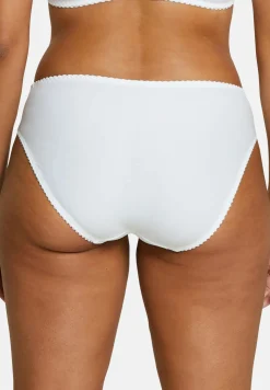 Briefs Arum