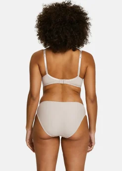 Briefs Arum