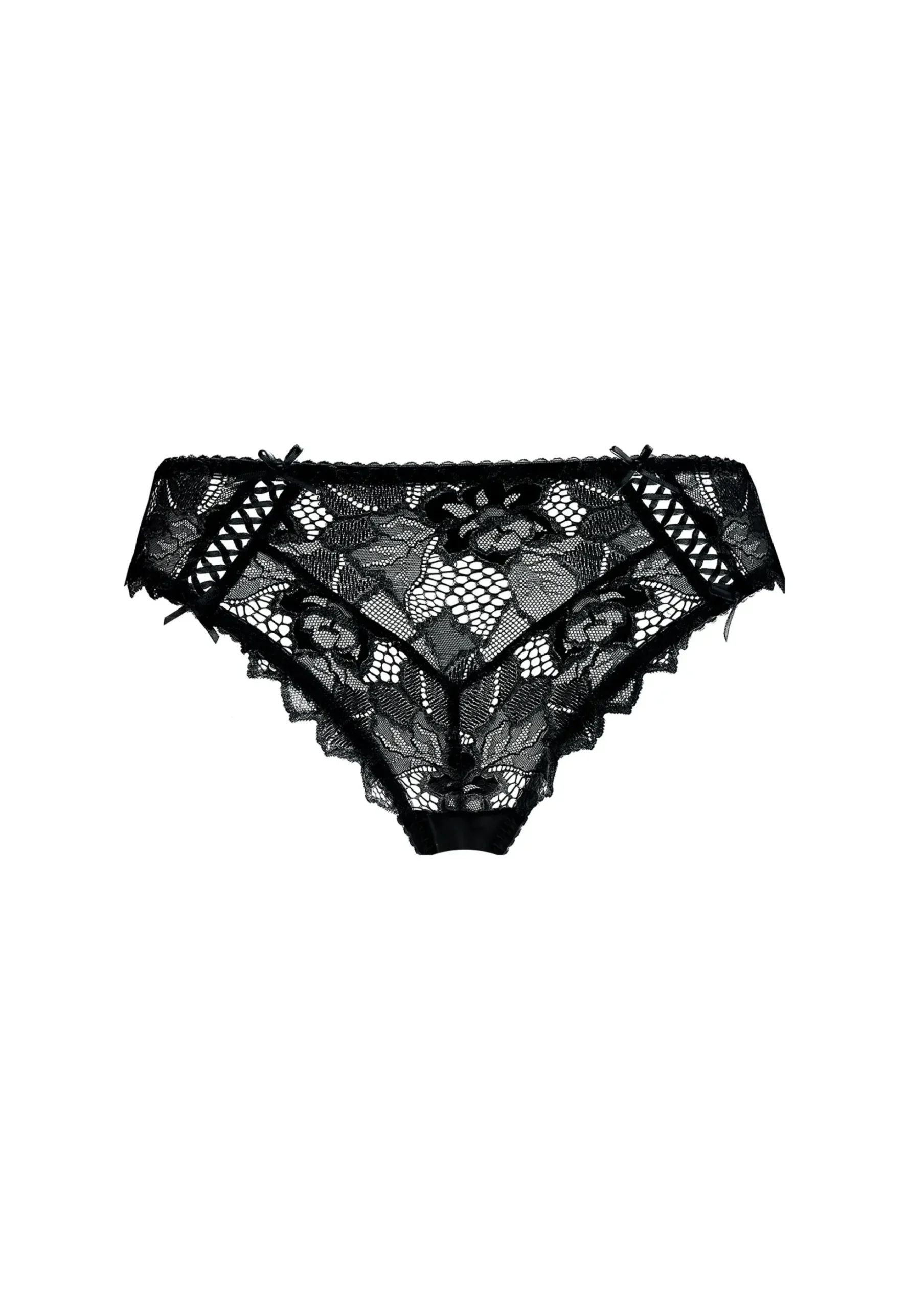 Briefs Arum