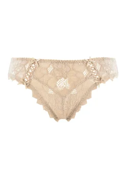 Briefs Arum