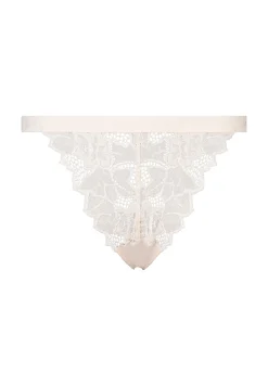 Briefs Arum Gloss