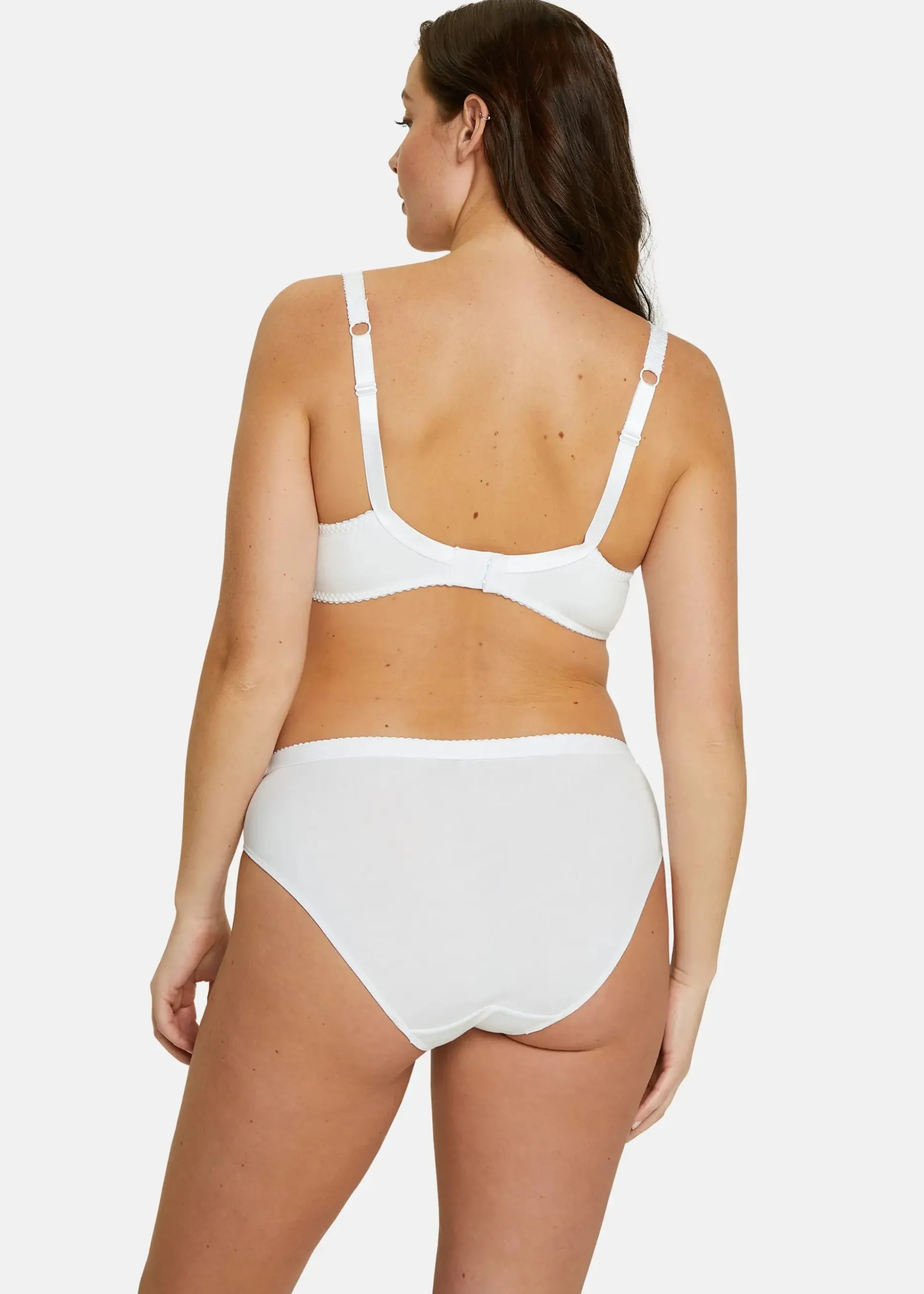Briefs Coton d'Arum