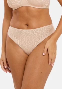Briefs Perfect curves