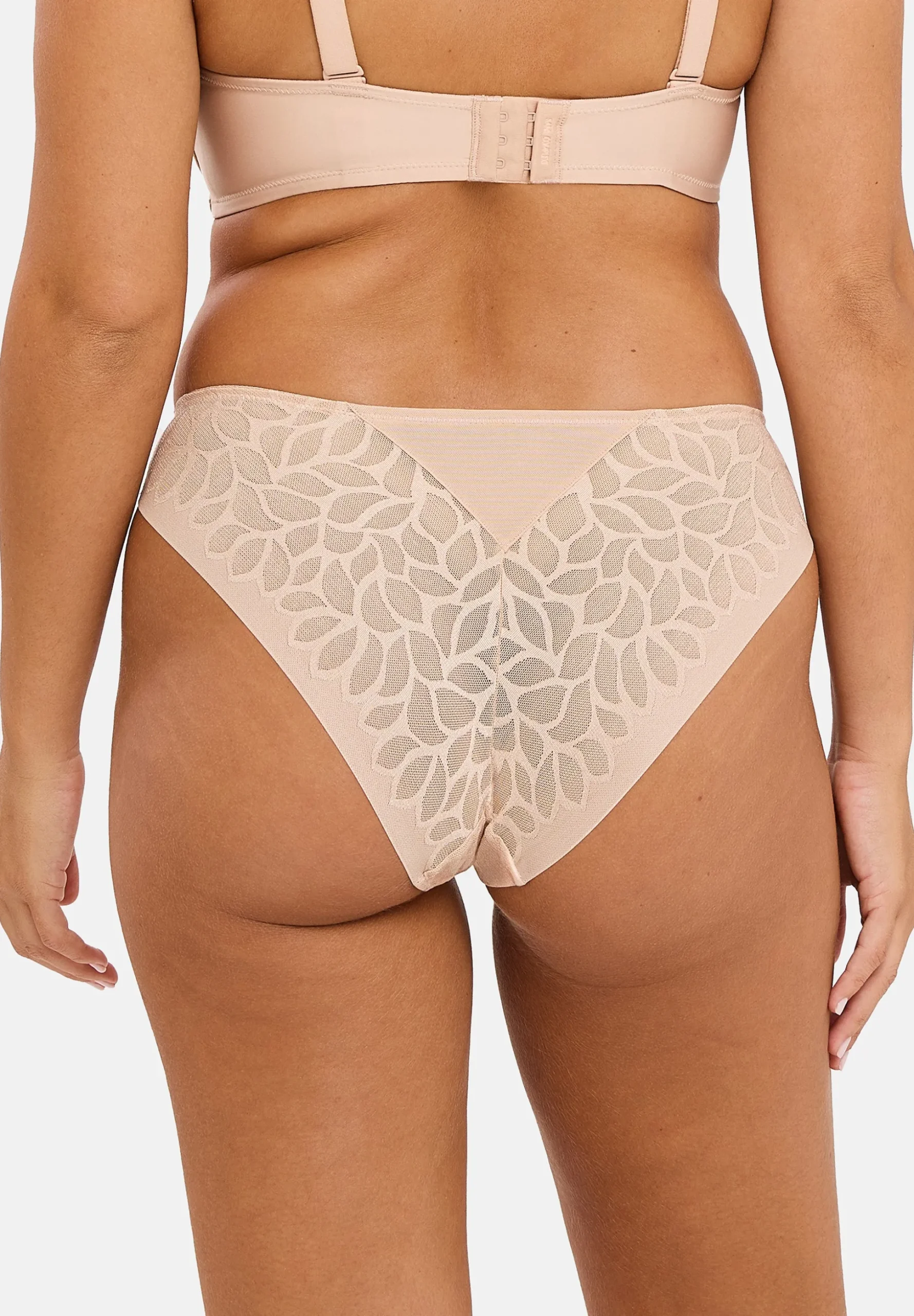 Briefs Perfect curves