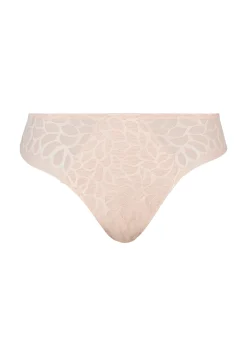 Briefs Perfect curves