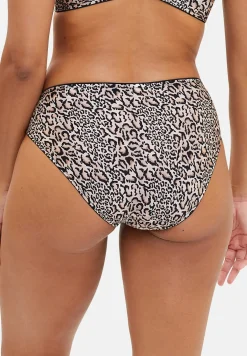 Briefs Salma