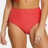 High waisted bikini medium Briefs Bask in bliss
