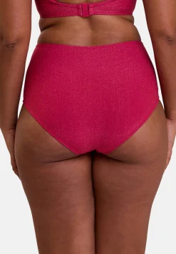High waisted bikini medium Briefs Reflection