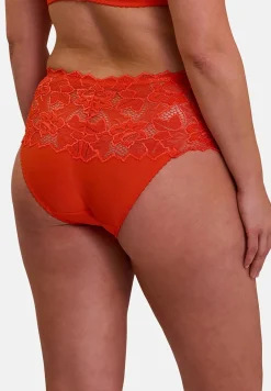 Medium briefs Arum
