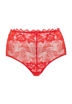 Medium Briefs Arum Prima